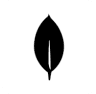MongoDB