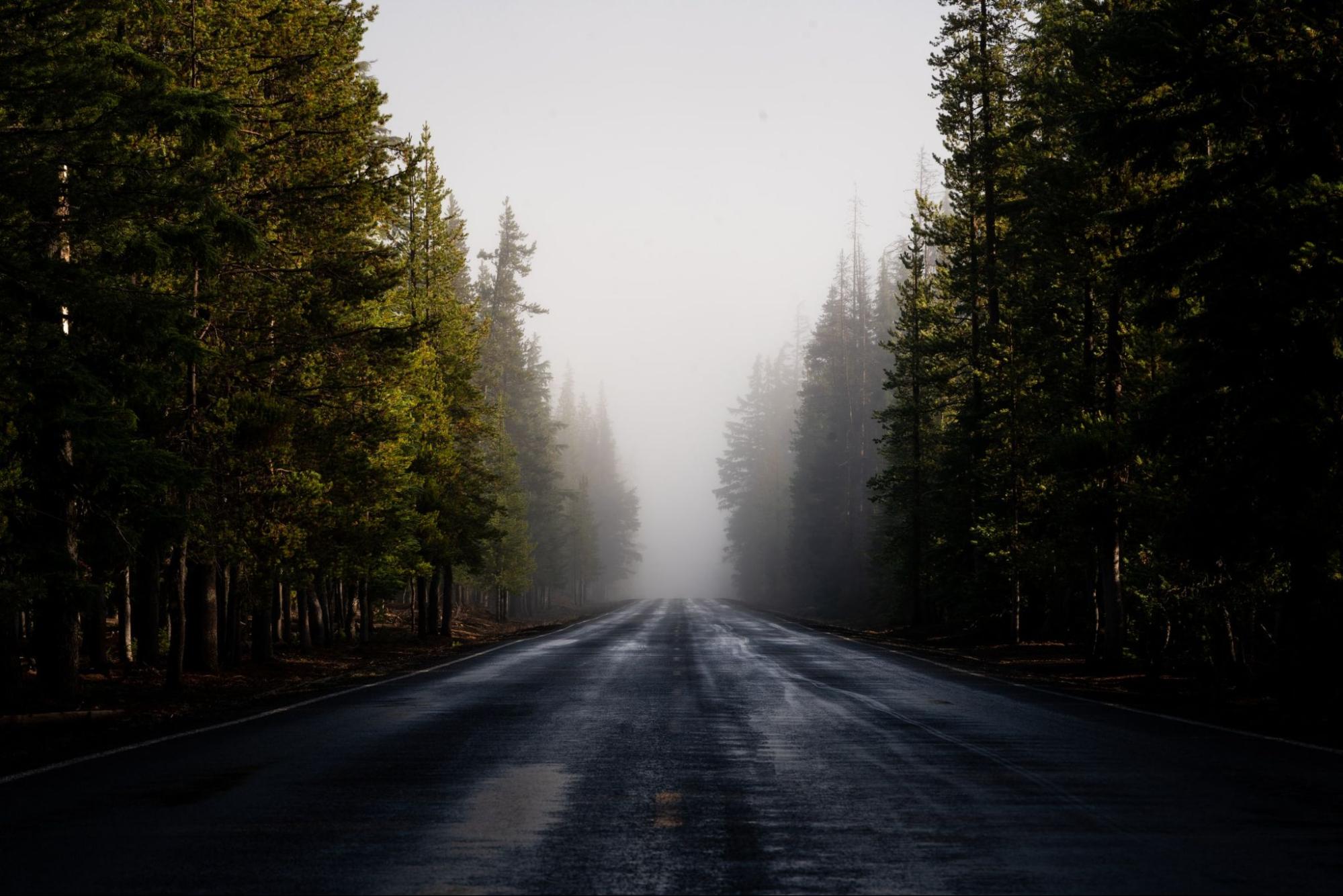 Carretera en la que la niebla no permite ver lo que espera a lo lejos del recorrido.