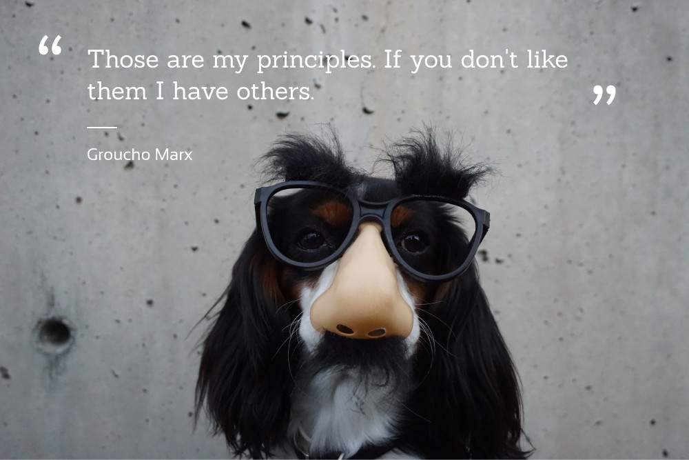 Perrete disfrazado de Groucho Marx acompañado de la cita “Those are my principles. If you don’t like them I have others.